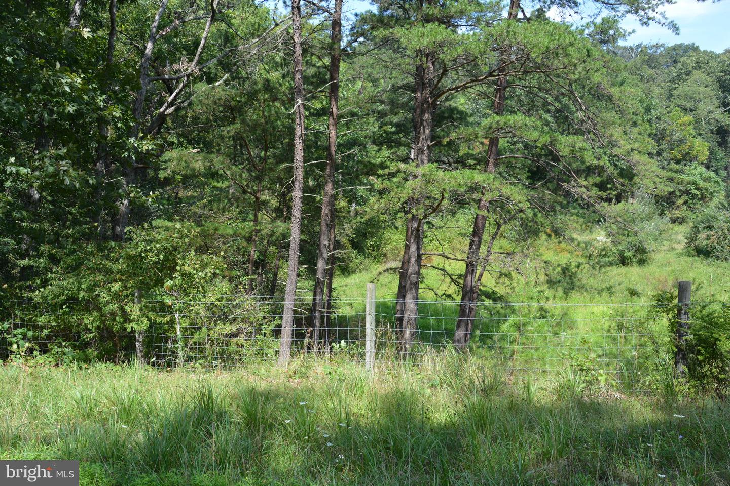 BRUSH CREEK RD #30+ ACRES, CROSS JUNCTION, Virginia 22625, ,Land,For Sale,BRUSH CREEK RD #30+ ACRES,VAFV2036252 MLS # VAFV2036252