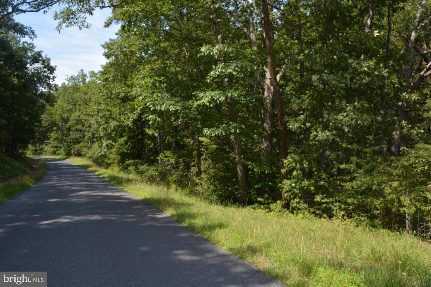 BRUSH CREEK RD #30+ ACRES, CROSS JUNCTION, Virginia 22625, ,Land,For Sale,BRUSH CREEK RD #30+ ACRES,VAFV2036252 MLS # VAFV2036252