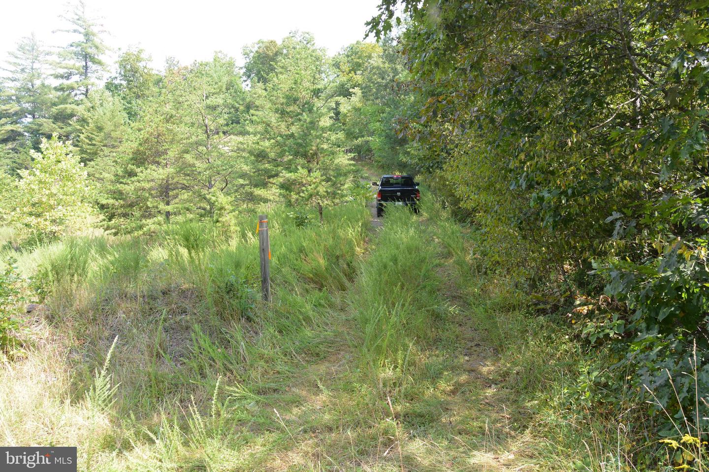 BRUSH CREEK RD #30+ ACRES, CROSS JUNCTION, Virginia 22625, ,Land,For Sale,BRUSH CREEK RD #30+ ACRES,VAFV2036252 MLS # VAFV2036252