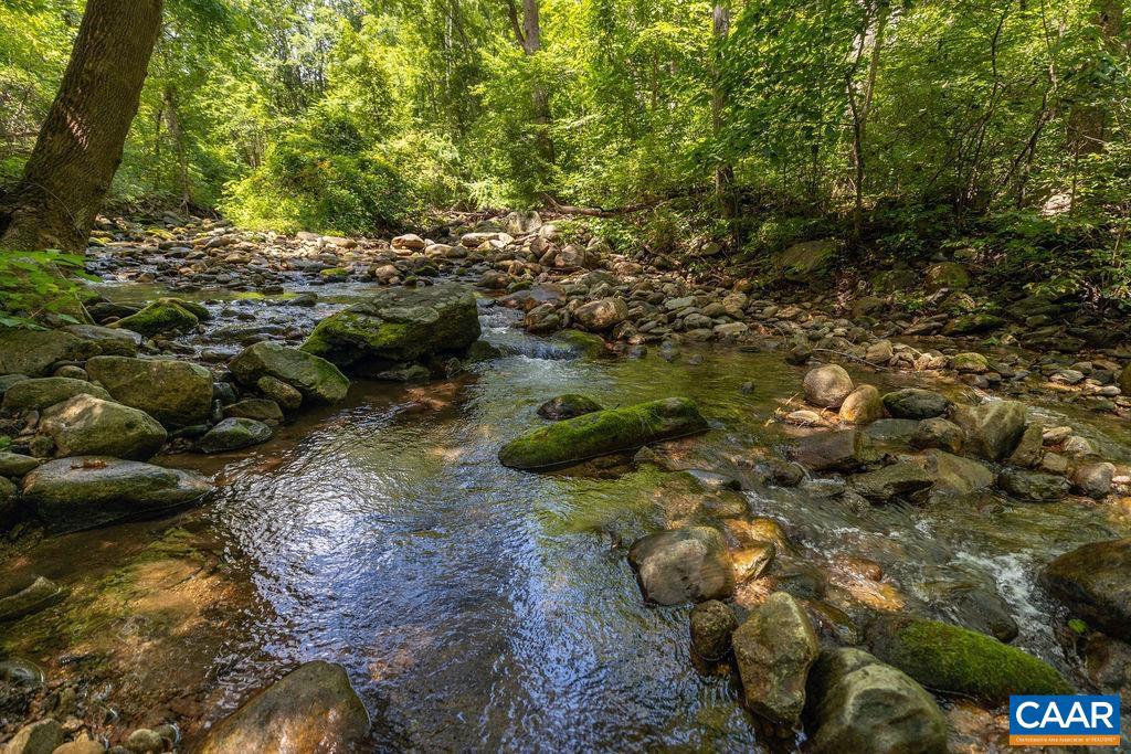 2530 BEECH GROVE RD, ROSELAND, Virginia 22967, ,Land,For Sale,2530 BEECH GROVE RD,668021 MLS # 668021 2530 BEECH GROVE RD, ROSELAND, Virginia 22967, ,Land,For Sale,2530 BEECH GROVE RD,668021 MLS # 668021