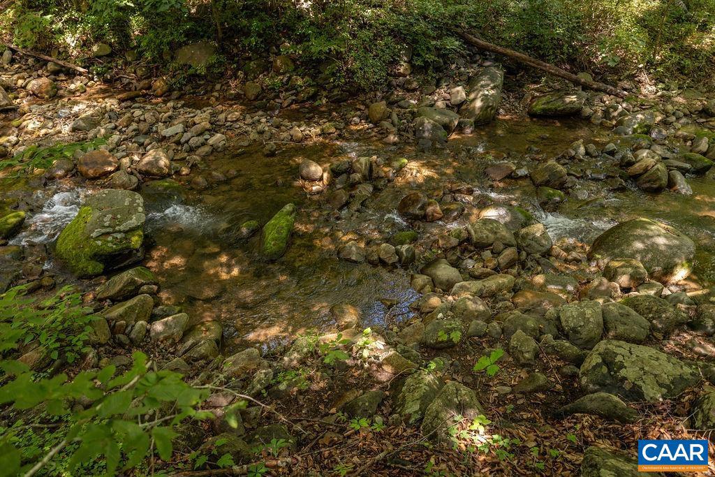 2530 BEECH GROVE RD, ROSELAND, Virginia 22967, ,Land,For Sale,2530 BEECH GROVE RD,668021 MLS # 668021 2530 BEECH GROVE RD, ROSELAND, Virginia 22967, ,Land,For Sale,2530 BEECH GROVE RD,668021 MLS # 668021
