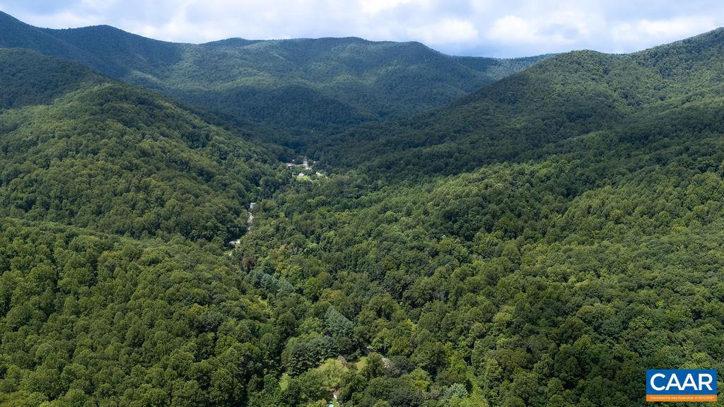 2530 BEECH GROVE RD, ROSELAND, Virginia 22967, ,Land,For Sale,2530 BEECH GROVE RD,668021 MLS # 668021 2530 BEECH GROVE RD, ROSELAND, Virginia 22967, ,Land,For Sale,2530 BEECH GROVE RD,668021 MLS # 668021