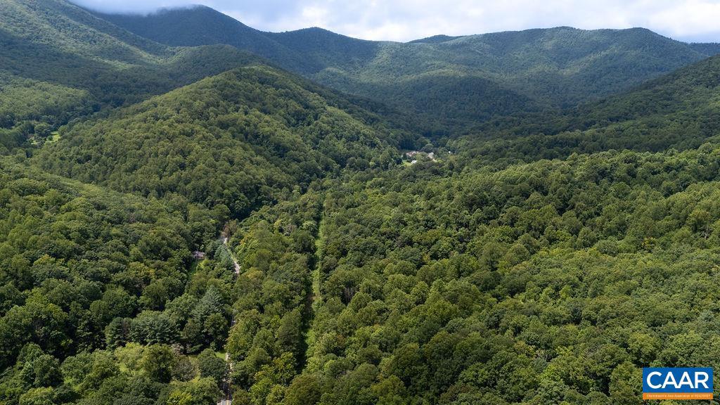 2530 BEECH GROVE RD, ROSELAND, Virginia 22967, ,Land,For Sale,2530 BEECH GROVE RD,668021 MLS # 668021 2530 BEECH GROVE RD, ROSELAND, Virginia 22967, ,Land,For Sale,2530 BEECH GROVE RD,668021 MLS # 668021
