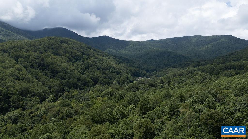 2530 BEECH GROVE RD, ROSELAND, Virginia 22967, ,Land,For Sale,2530 BEECH GROVE RD,668021 MLS # 668021 2530 BEECH GROVE RD, ROSELAND, Virginia 22967, ,Land,For Sale,2530 BEECH GROVE RD,668021 MLS # 668021
