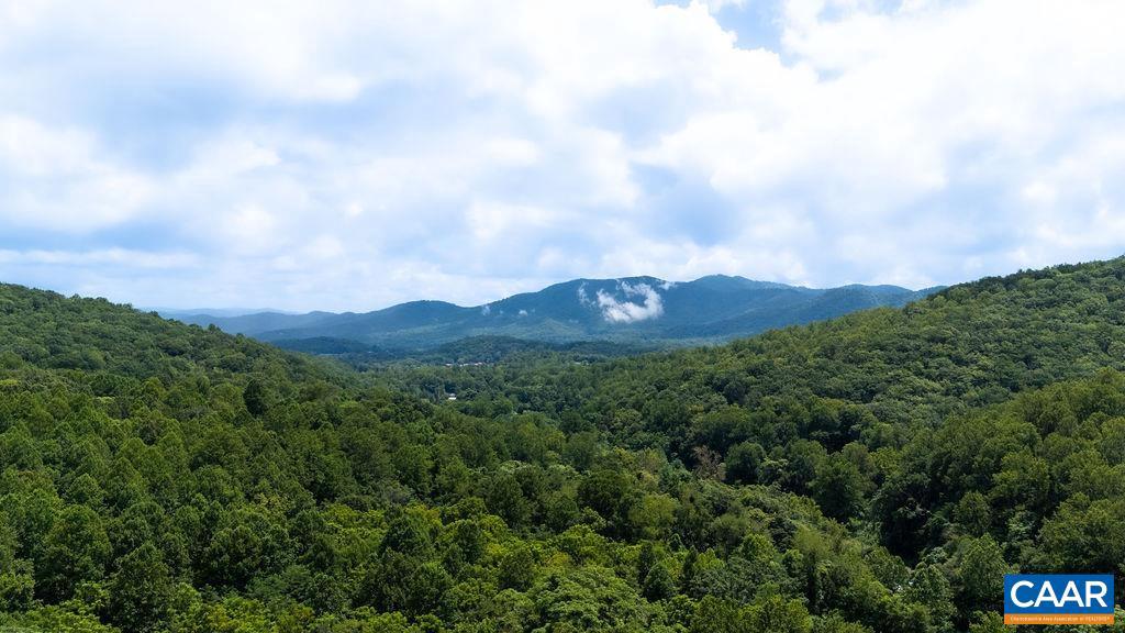 2530 BEECH GROVE RD, ROSELAND, Virginia 22967, ,Land,For Sale,2530 BEECH GROVE RD,668021 MLS # 668021 2530 BEECH GROVE RD, ROSELAND, Virginia 22967, ,Land,For Sale,2530 BEECH GROVE RD,668021 MLS # 668021