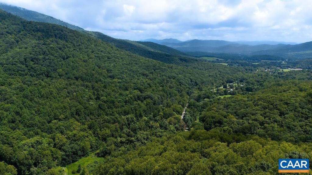 2530 BEECH GROVE RD, ROSELAND, Virginia 22967, ,Land,For Sale,2530 BEECH GROVE RD,668021 MLS # 668021