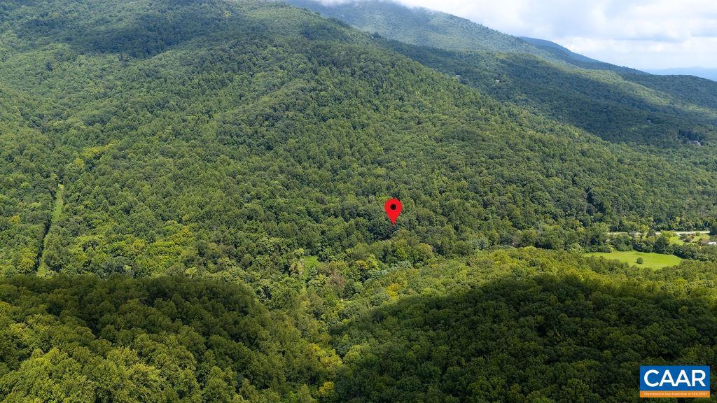 2530 BEECH GROVE RD, ROSELAND, Virginia 22967, ,Land,For Sale,2530 BEECH GROVE RD,668021 MLS # 668021 2530 BEECH GROVE RD, ROSELAND, Virginia 22967, ,Land,For Sale,2530 BEECH GROVE RD,668021 MLS # 668021