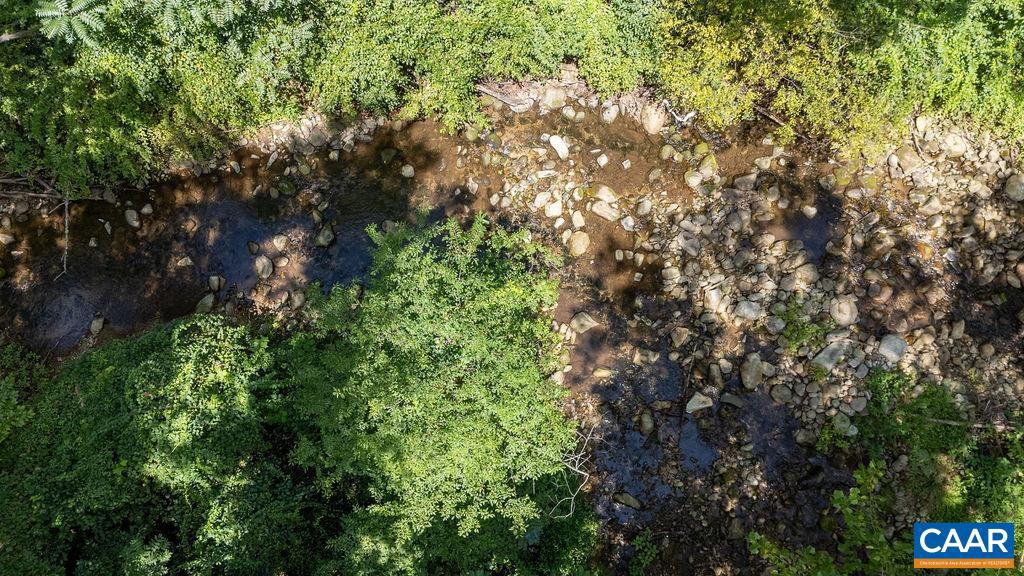 2530 BEECH GROVE RD, ROSELAND, Virginia 22967, ,Land,For Sale,2530 BEECH GROVE RD,668021 MLS # 668021 2530 BEECH GROVE RD, ROSELAND, Virginia 22967, ,Land,For Sale,2530 BEECH GROVE RD,668021 MLS # 668021
