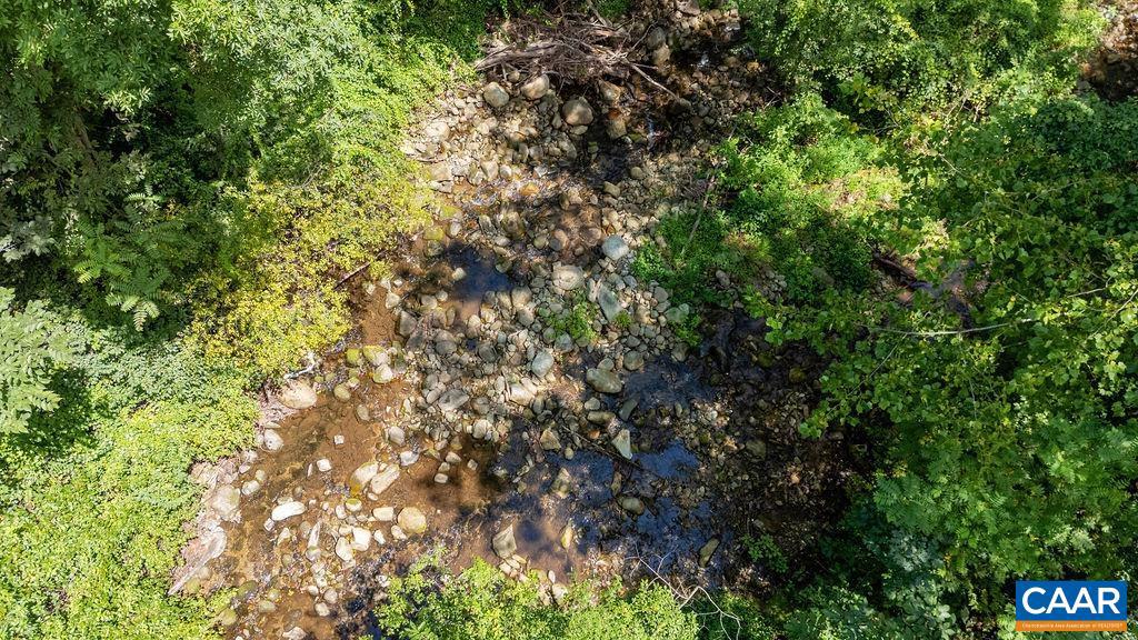 2530 BEECH GROVE RD, ROSELAND, Virginia 22967, ,Land,For Sale,2530 BEECH GROVE RD,668021 MLS # 668021 2530 BEECH GROVE RD, ROSELAND, Virginia 22967, ,Land,For Sale,2530 BEECH GROVE RD,668021 MLS # 668021