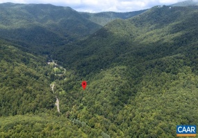 2530 BEECH GROVE RD, ROSELAND, Virginia 22967, ,Land,For Sale,2530 BEECH GROVE RD,668021 MLS # 668021 2530 BEECH GROVE RD, ROSELAND, Virginia 22967, ,Land,For Sale,2530 BEECH GROVE RD,668021 MLS # 668021