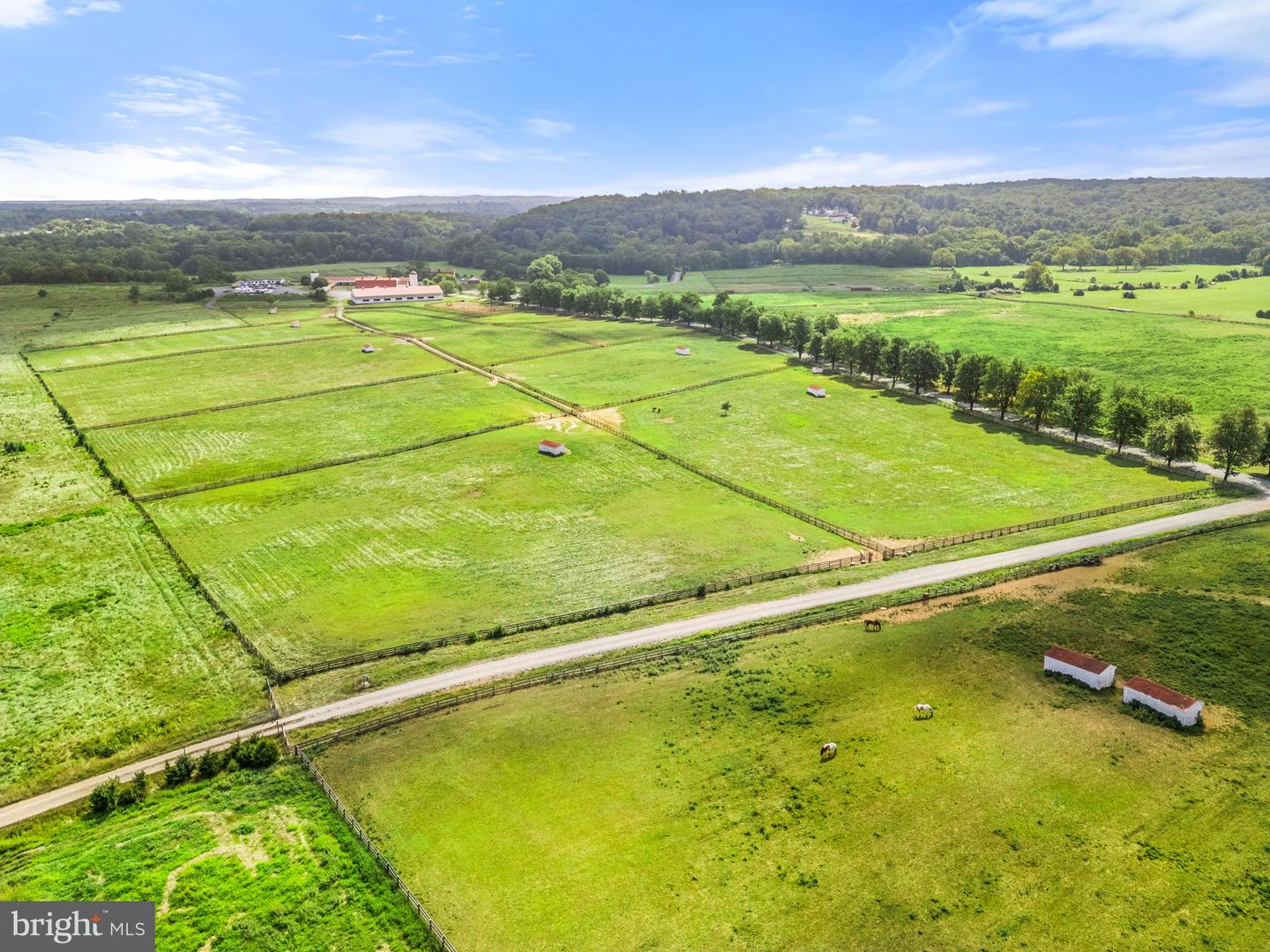 40332 COURTLAND FARM LN, ALDIE, Virginia 20105, 3 Bedrooms Bedrooms, ,2 BathroomsBathrooms,Residential,For Sale,40332 COURTLAND FARM LN,VALO2104636 MLS # VALO2104636 40332 COURTLAND FARM LN, ALDIE, Virginia 20105, 3 Bedrooms Bedrooms, ,2 BathroomsBathrooms,Residential,For Sale,40332 COURTLAND FARM LN,VALO2104636 MLS # VALO2104636