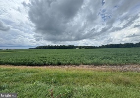 11378 TIMBUKTU LN, MIDLAND, Virginia 22728, ,Farm,For Sale,11378 TIMBUKTU LN,VAFQ2017998 MLS # VAFQ2017998 11378 TIMBUKTU LN, MIDLAND, Virginia 22728, ,Farm,For Sale,11378 TIMBUKTU LN,VAFQ2017998 MLS # VAFQ2017998
