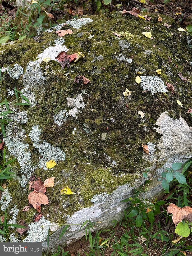 BLUERIDGE MOUNTAIN, PARIS, Virginia 20130, ,Farm,For Sale,BLUERIDGE MOUNTAIN,VALO2105128 MLS # VALO2105128