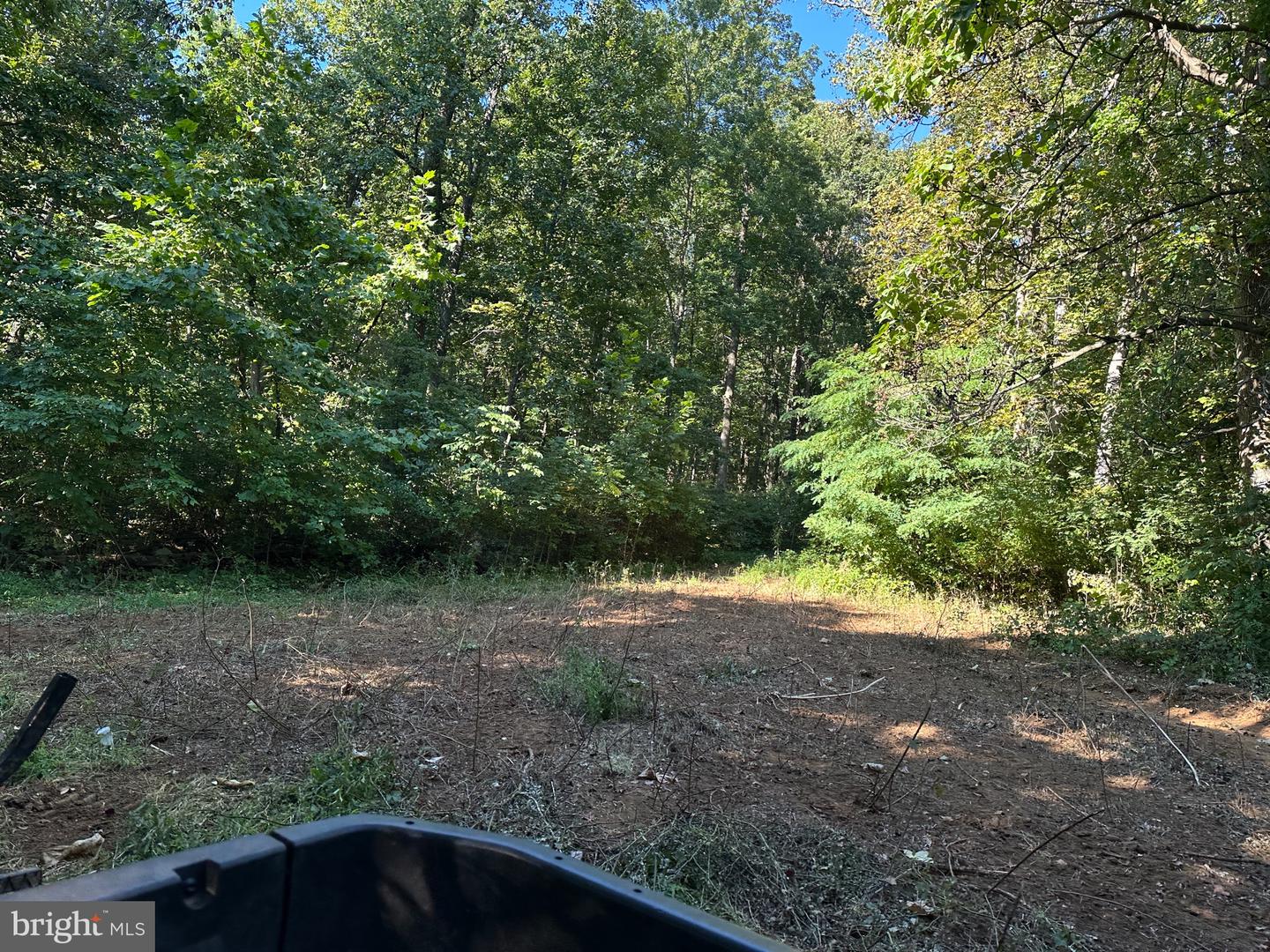 BLUERIDGE MOUNTAIN, PARIS, Virginia 20130, ,Farm,For Sale,BLUERIDGE MOUNTAIN,VALO2105128 MLS # VALO2105128