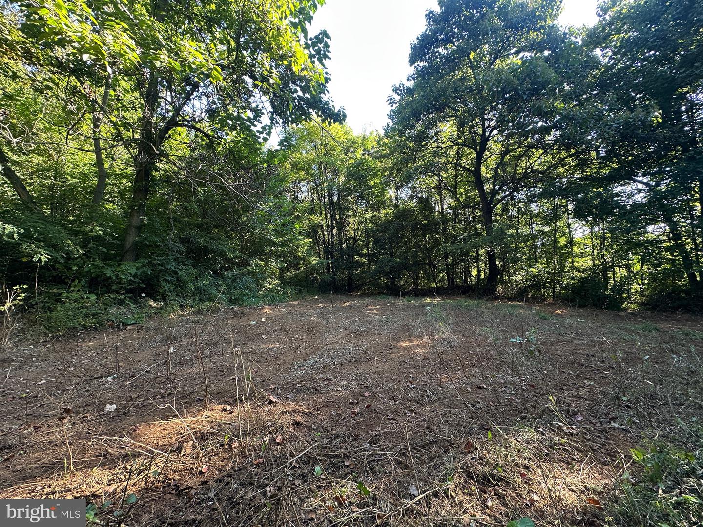 BLUERIDGE MOUNTAIN, PARIS, Virginia 20130, ,Farm,For Sale,BLUERIDGE MOUNTAIN,VALO2105128 MLS # VALO2105128