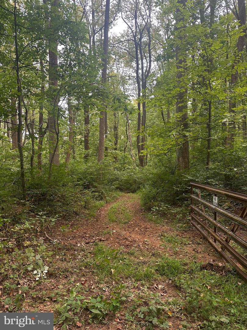 BLUERIDGE MOUNTAIN, PARIS, Virginia 20130, ,Farm,For Sale,BLUERIDGE MOUNTAIN,VALO2105128 MLS # VALO2105128