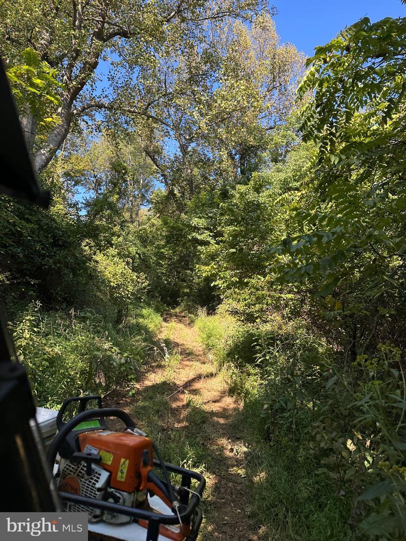 BLUERIDGE MOUNTAIN, PARIS, Virginia 20130, ,Farm,For Sale,BLUERIDGE MOUNTAIN,VALO2105128 MLS # VALO2105128