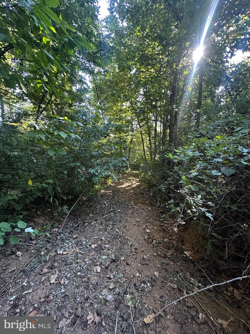 BLUERIDGE MOUNTAIN, PARIS, Virginia 20130, ,Farm,For Sale,BLUERIDGE MOUNTAIN,VALO2105128 MLS # VALO2105128