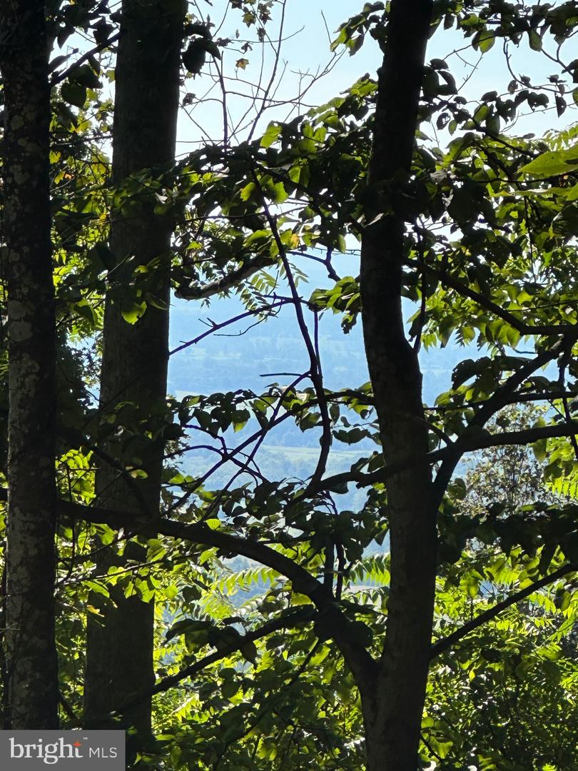 BLUERIDGE MOUNTAIN, PARIS, Virginia 20130, ,Farm,For Sale,BLUERIDGE MOUNTAIN,VALO2105128 MLS # VALO2105128