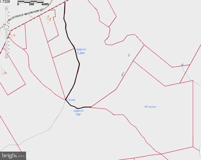 BLUERIDGE MOUNTAIN, PARIS, Virginia 20130, ,Farm,For Sale,BLUERIDGE MOUNTAIN,VALO2105128 MLS # VALO2105128