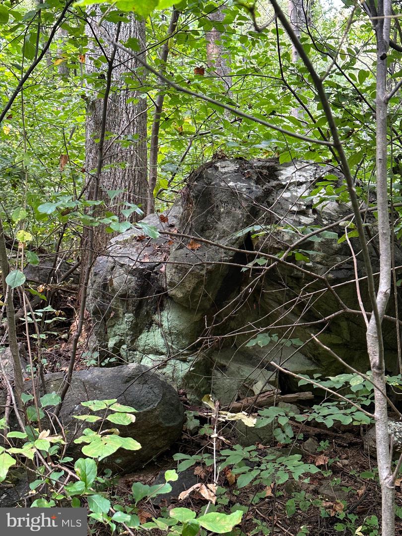 BLUERIDGE MOUNTAIN, PARIS, Virginia 20130, ,Farm,For Sale,BLUERIDGE MOUNTAIN,VALO2105128 MLS # VALO2105128