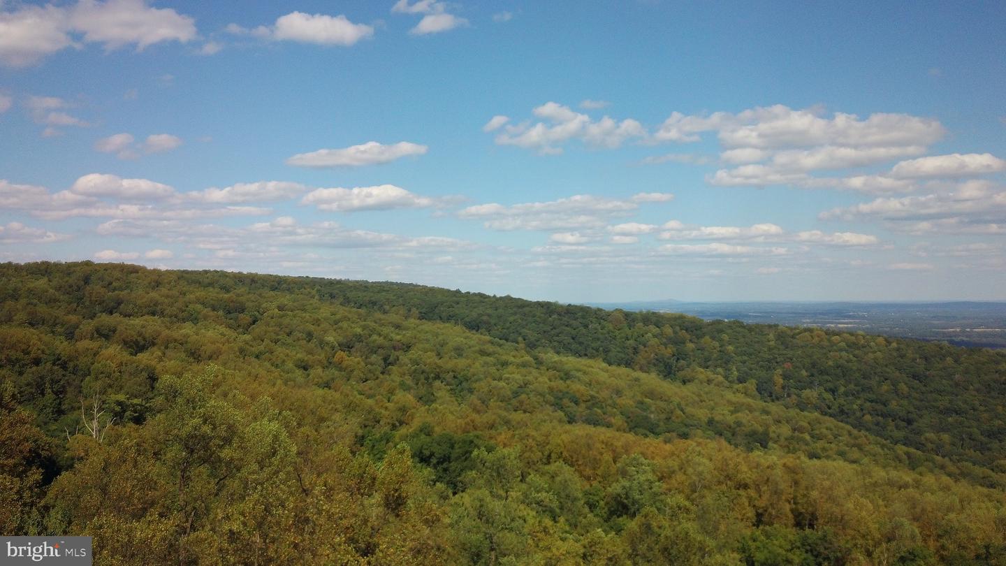 BLUERIDGE MOUNTAIN, PARIS, Virginia 20130, ,Farm,For Sale,BLUERIDGE MOUNTAIN,VALO2105128 MLS # VALO2105128