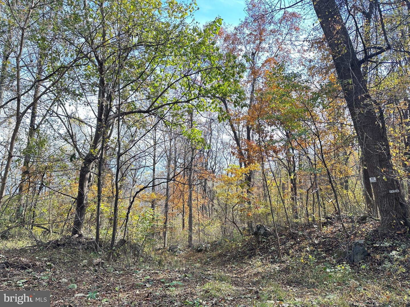 BLUERIDGE MOUNTAIN, PARIS, Virginia 20130, ,Farm,For Sale,BLUERIDGE MOUNTAIN,VALO2105128 MLS # VALO2105128