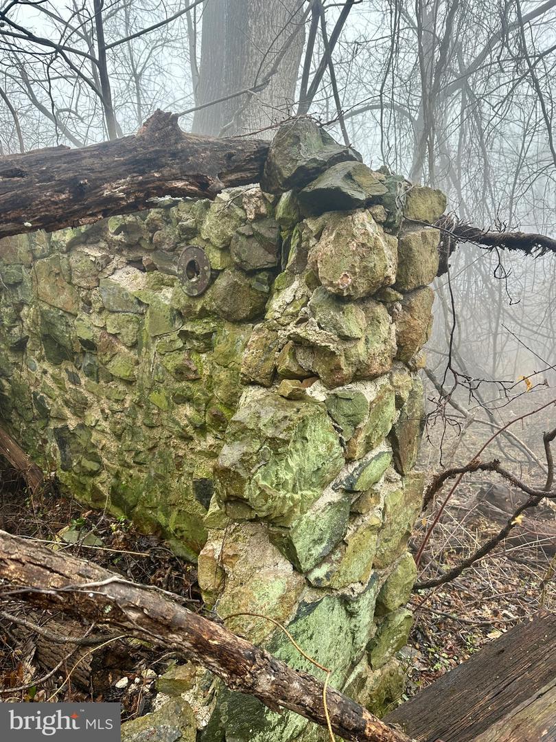 BLUERIDGE MOUNTAIN, PARIS, Virginia 20130, ,Farm,For Sale,BLUERIDGE MOUNTAIN,VALO2105128 MLS # VALO2105128