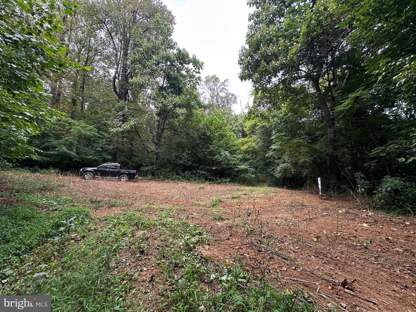 BLUERIDGE MOUNTAIN, PARIS, Virginia 20130, ,Farm,For Sale,BLUERIDGE MOUNTAIN,VALO2105128 MLS # VALO2105128