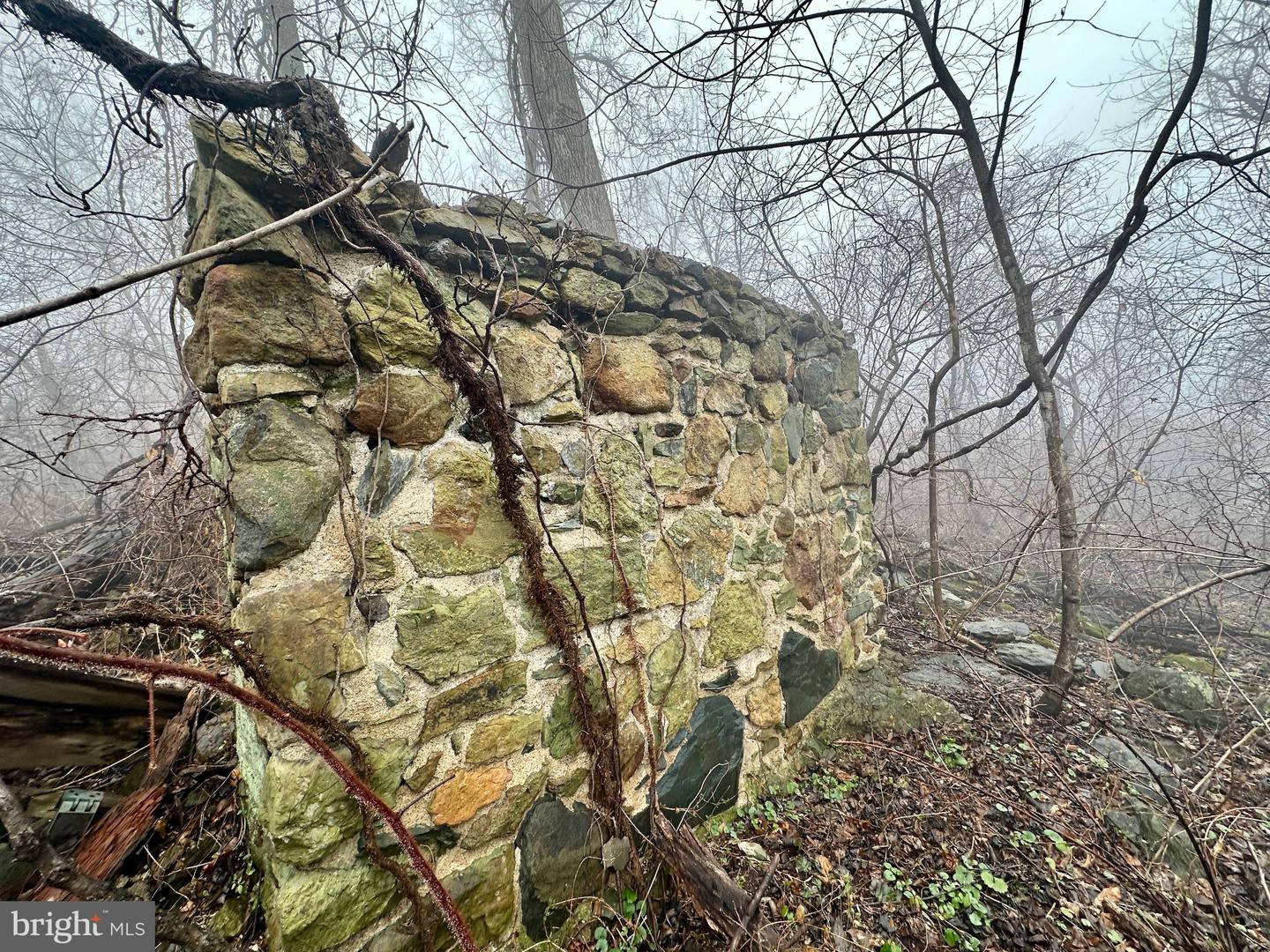 BLUERIDGE MOUNTAIN, PARIS, Virginia 20130, ,Farm,For Sale,BLUERIDGE MOUNTAIN,VALO2105128 MLS # VALO2105128