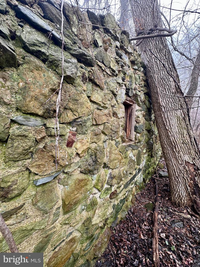 BLUERIDGE MOUNTAIN, PARIS, Virginia 20130, ,Farm,For Sale,BLUERIDGE MOUNTAIN,VALO2105128 MLS # VALO2105128