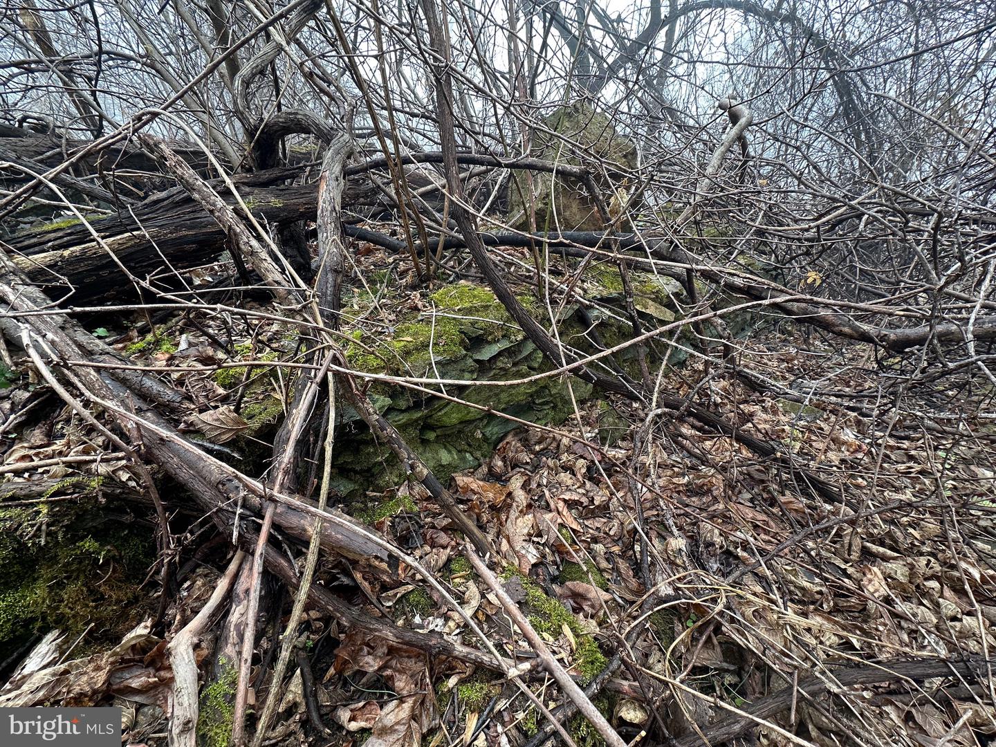 BLUERIDGE MOUNTAIN, PARIS, Virginia 20130, ,Farm,For Sale,BLUERIDGE MOUNTAIN,VALO2105128 MLS # VALO2105128