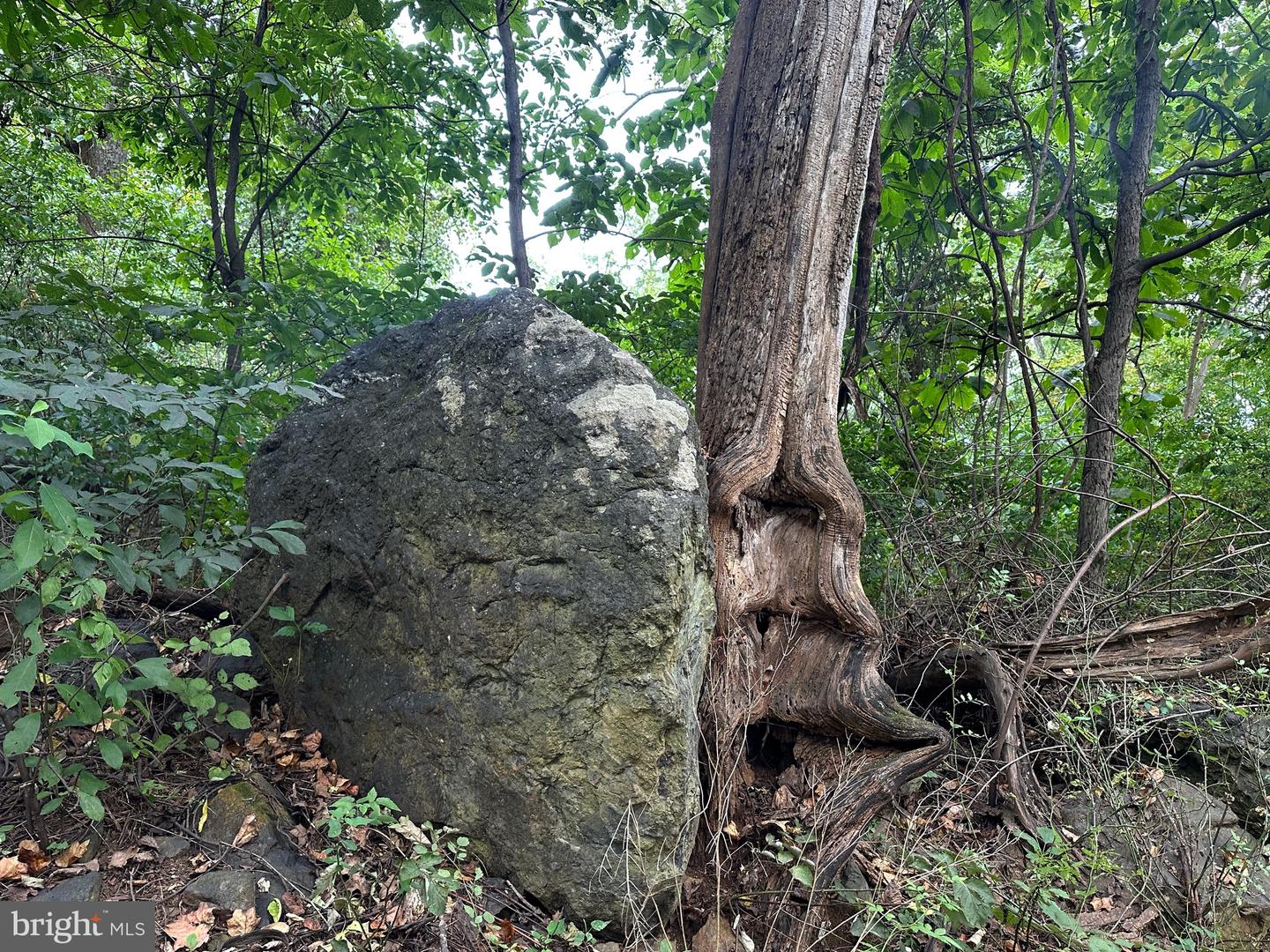 BLUERIDGE MOUNTAIN, PARIS, Virginia 20130, ,Farm,For Sale,BLUERIDGE MOUNTAIN,VALO2105128 MLS # VALO2105128