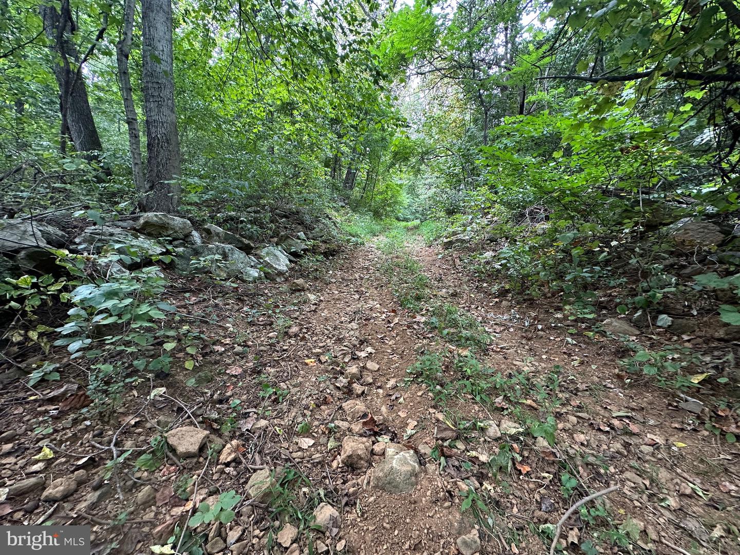 BLUERIDGE MOUNTAIN, PARIS, Virginia 20130, ,Farm,For Sale,BLUERIDGE MOUNTAIN,VALO2105128 MLS # VALO2105128