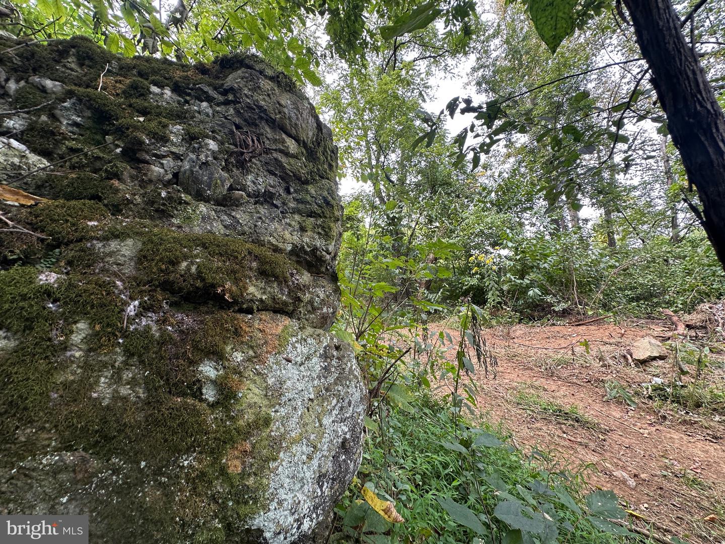 BLUERIDGE MOUNTAIN, PARIS, Virginia 20130, ,Farm,For Sale,BLUERIDGE MOUNTAIN,VALO2105128 MLS # VALO2105128