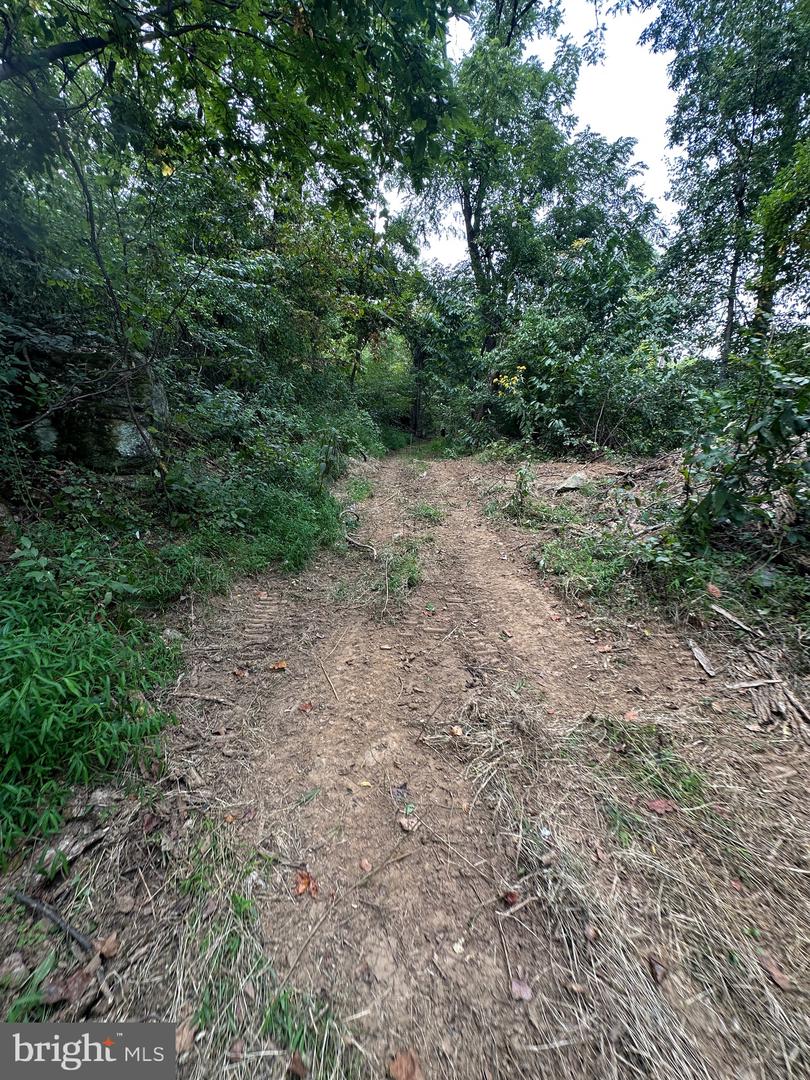 BLUERIDGE MOUNTAIN, PARIS, Virginia 20130, ,Farm,For Sale,BLUERIDGE MOUNTAIN,VALO2105128 MLS # VALO2105128