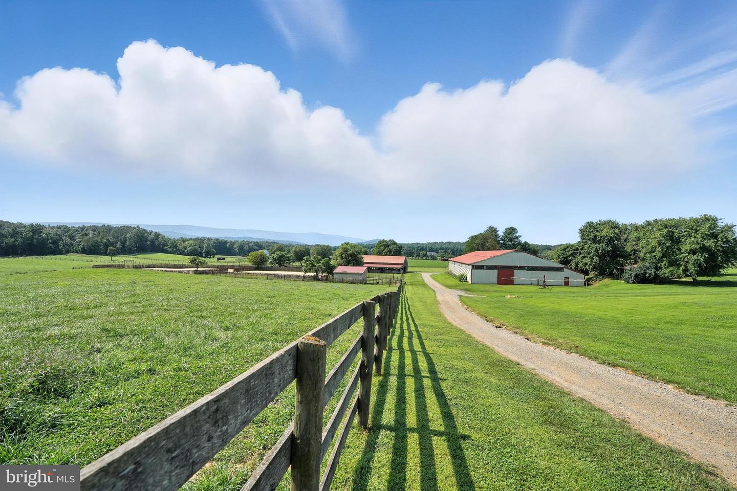 3637 MILLWOOD RD, BOYCE, Virginia 22620, 4 Bedrooms Bedrooms, ,3 BathroomsBathrooms,Farm,For Sale,3637 MILLWOOD RD,VACL2005990 MLS # VACL2005990 3637 MILLWOOD RD, BOYCE, Virginia 22620, 4 Bedrooms Bedrooms, ,3 BathroomsBathrooms,Farm,For Sale,3637 MILLWOOD RD,VACL2005990 MLS # VACL2005990