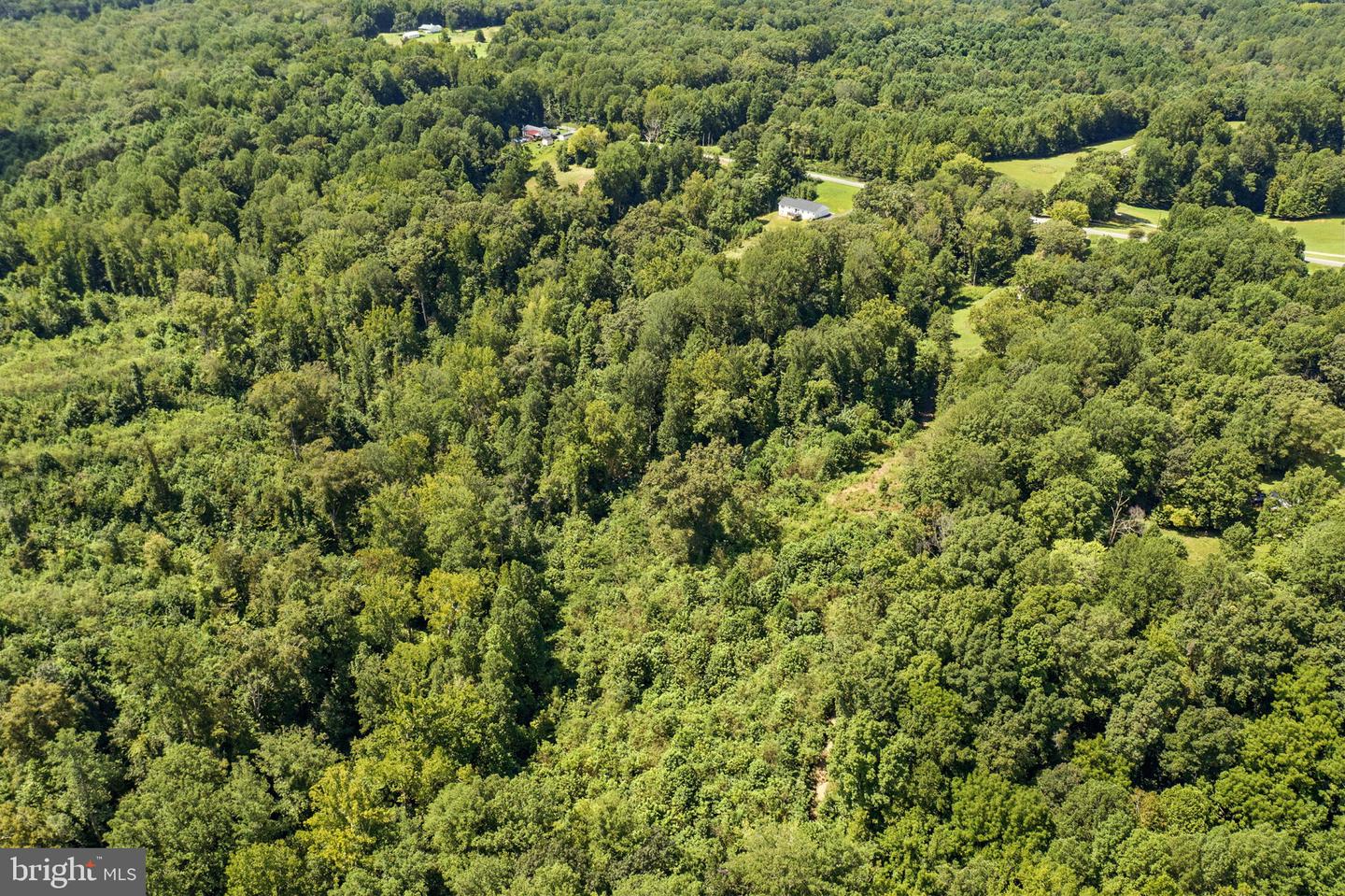 DOGWOOD LN, KING GEORGE, Virginia 22485, ,Land,For Sale,DOGWOOD LN,VAKG2006932 MLS # VAKG2006932 DOGWOOD LN, KING GEORGE, Virginia 22485, ,Land,For Sale,DOGWOOD LN,VAKG2006932 MLS # VAKG2006932