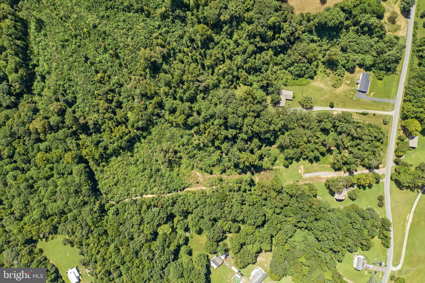 DOGWOOD LN, KING GEORGE, Virginia 22485, ,Land,For Sale,DOGWOOD LN,VAKG2006932 MLS # VAKG2006932 DOGWOOD LN, KING GEORGE, Virginia 22485, ,Land,For Sale,DOGWOOD LN,VAKG2006932 MLS # VAKG2006932