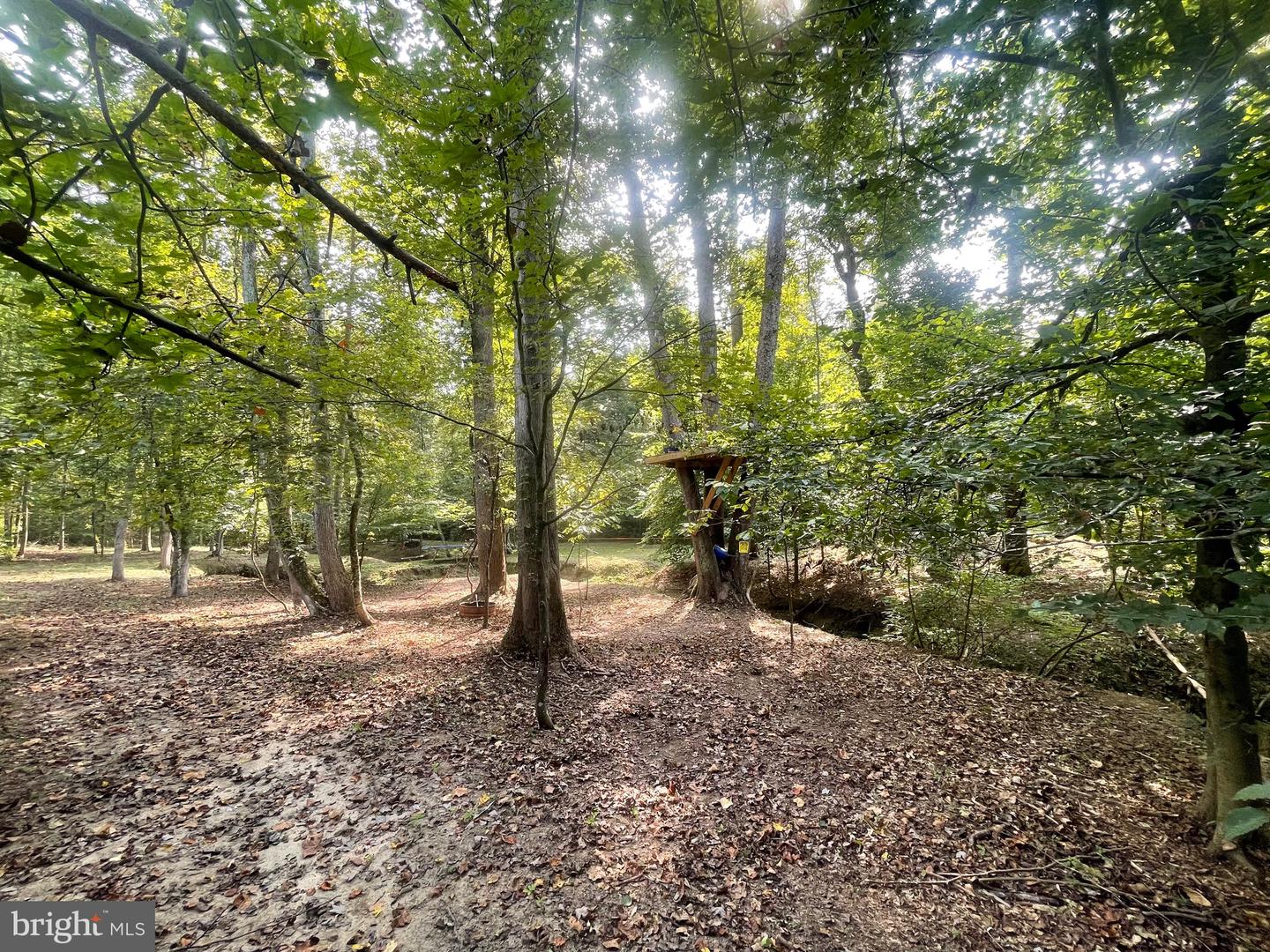 DOGWOOD LN, KING GEORGE, Virginia 22485, ,Land,For Sale,DOGWOOD LN,VAKG2006932 MLS # VAKG2006932 DOGWOOD LN, KING GEORGE, Virginia 22485, ,Land,For Sale,DOGWOOD LN,VAKG2006932 MLS # VAKG2006932