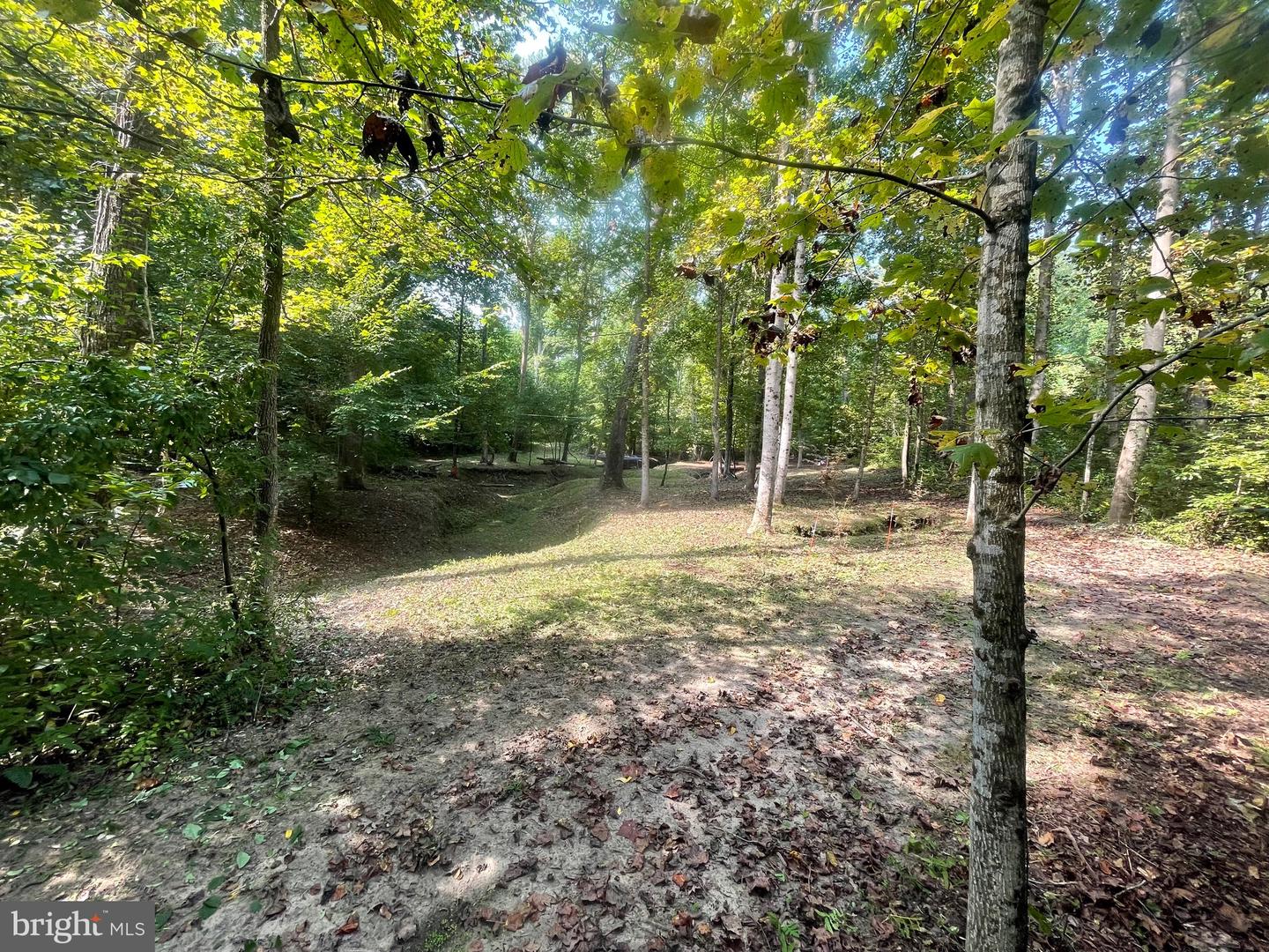 DOGWOOD LN, KING GEORGE, Virginia 22485, ,Land,For Sale,DOGWOOD LN,VAKG2006932 MLS # VAKG2006932 DOGWOOD LN, KING GEORGE, Virginia 22485, ,Land,For Sale,DOGWOOD LN,VAKG2006932 MLS # VAKG2006932