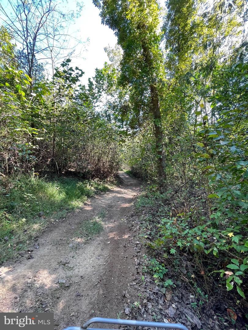 DOGWOOD LN, KING GEORGE, Virginia 22485, ,Land,For Sale,DOGWOOD LN,VAKG2006932 MLS # VAKG2006932 DOGWOOD LN, KING GEORGE, Virginia 22485, ,Land,For Sale,DOGWOOD LN,VAKG2006932 MLS # VAKG2006932