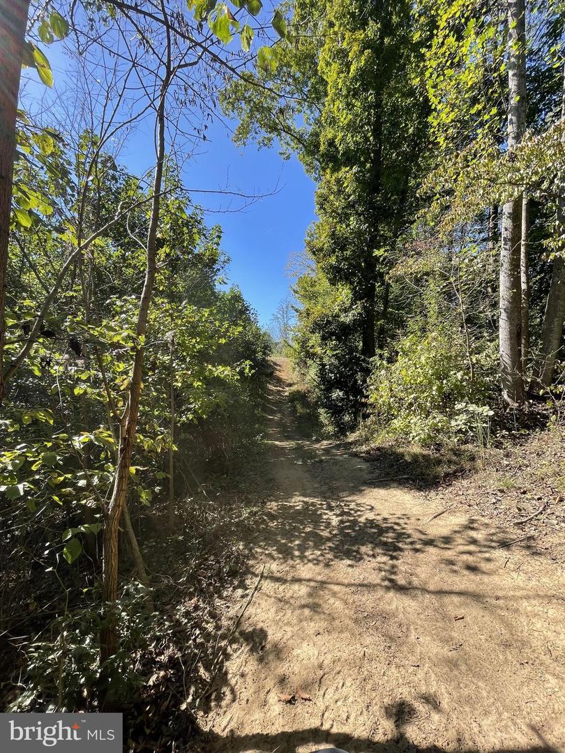 DOGWOOD LN, KING GEORGE, Virginia 22485, ,Land,For Sale,DOGWOOD LN,VAKG2006932 MLS # VAKG2006932 DOGWOOD LN, KING GEORGE, Virginia 22485, ,Land,For Sale,DOGWOOD LN,VAKG2006932 MLS # VAKG2006932