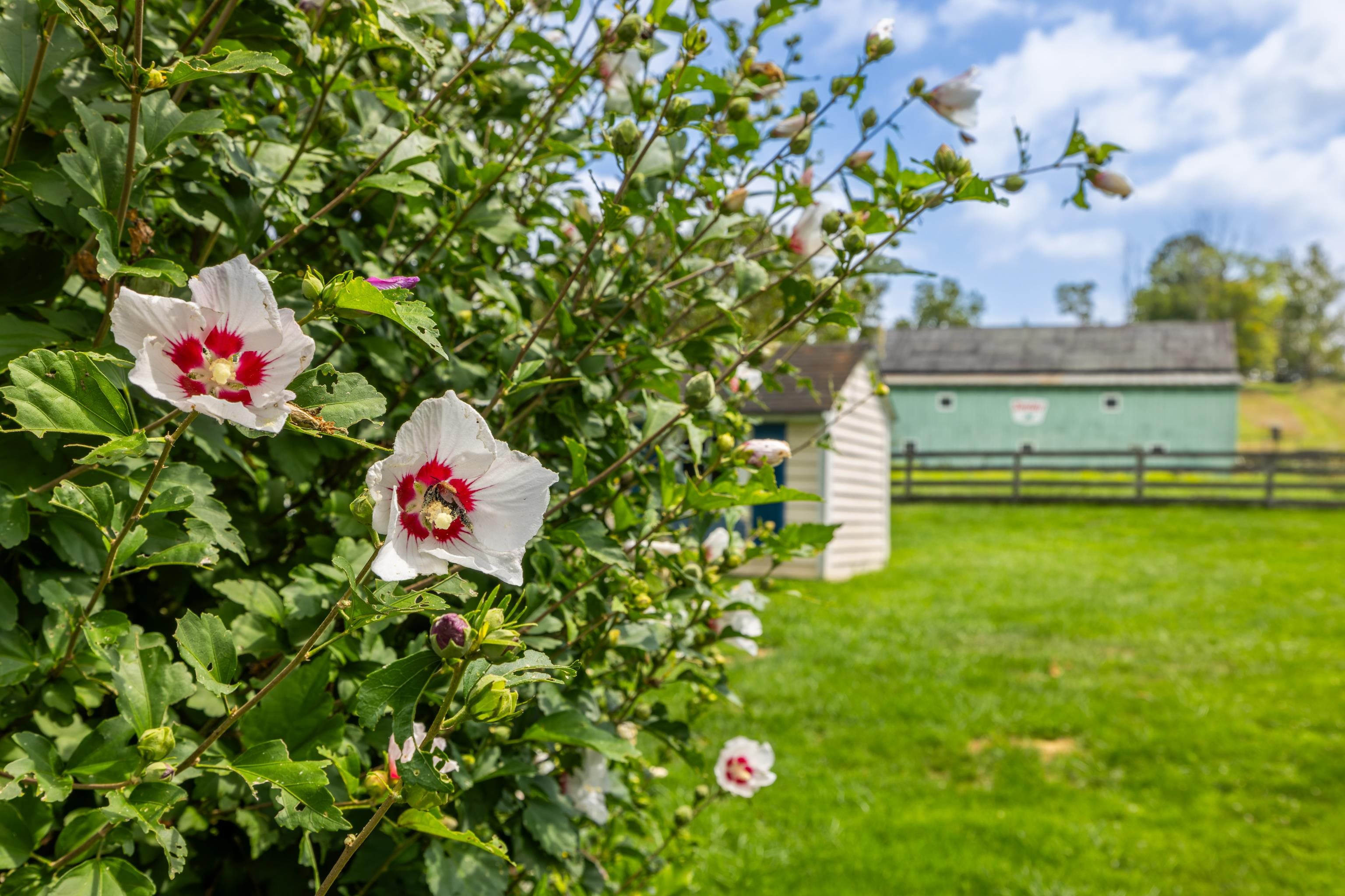 1202 WALKER CREEK RD, MIDDLEBROOK, Virginia 24459, 5 Bedrooms Bedrooms, ,4 BathroomsBathrooms,Residential,14,1202 WALKER CREEK RD,668227 MLS # 668227