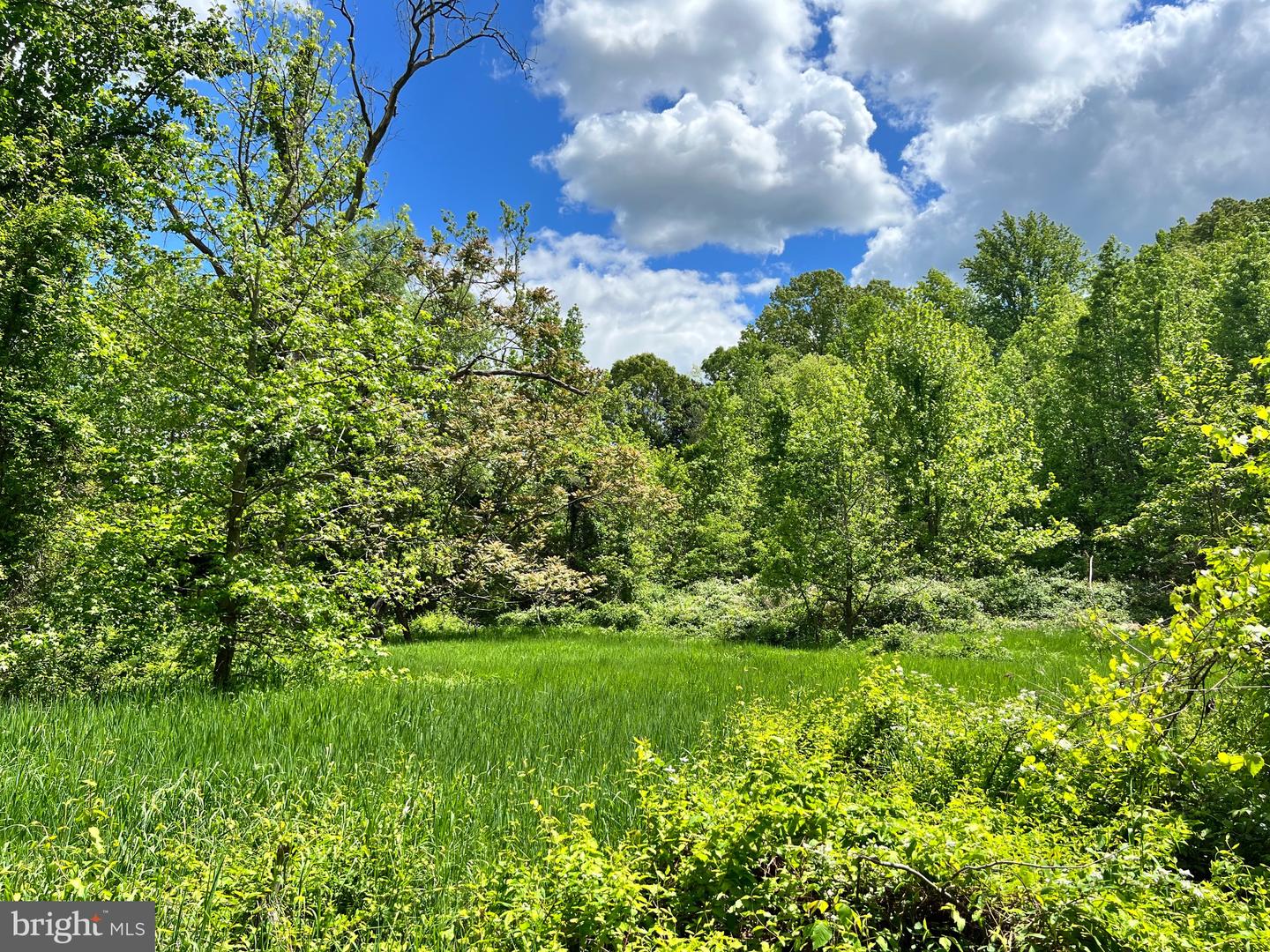 OLD COLCHESTER RD, LORTON, Virginia 22079, ,Land,For Sale,OLD COLCHESTER RD,VAFX2263404 MLS # VAFX2263404 OLD COLCHESTER RD, LORTON, Virginia 22079, ,Land,For Sale,OLD COLCHESTER RD,VAFX2263404 MLS # VAFX2263404