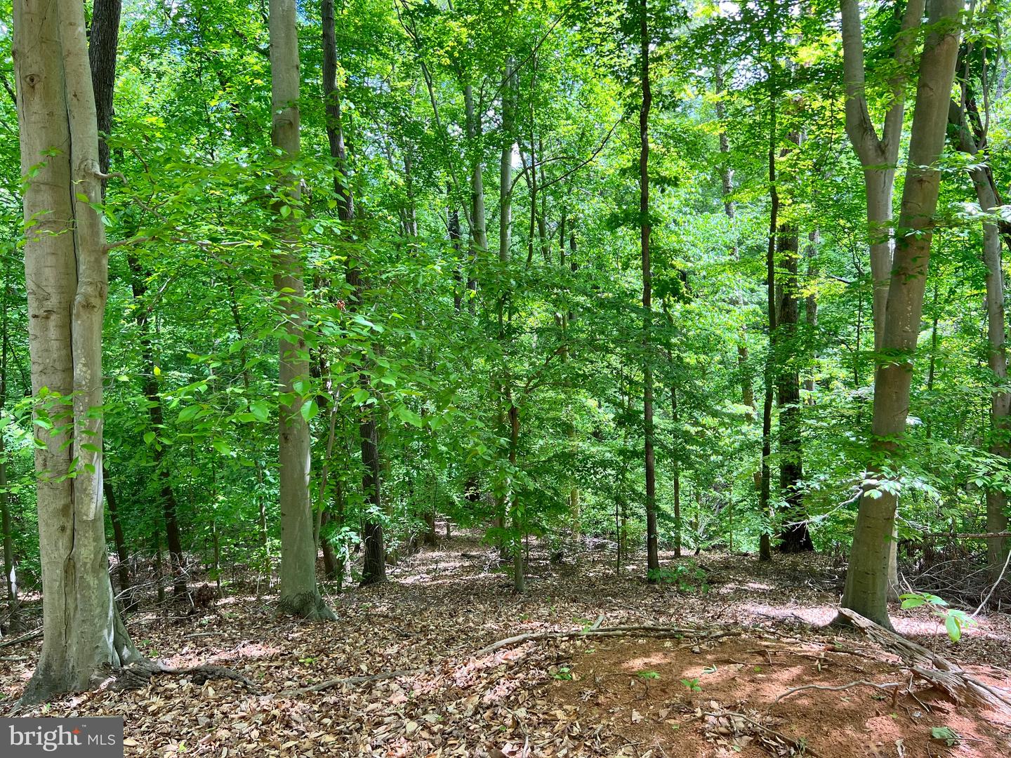 OLD COLCHESTER RD, LORTON, Virginia 22079, ,Land,For Sale,OLD COLCHESTER RD,VAFX2263404 MLS # VAFX2263404 OLD COLCHESTER RD, LORTON, Virginia 22079, ,Land,For Sale,OLD COLCHESTER RD,VAFX2263404 MLS # VAFX2263404