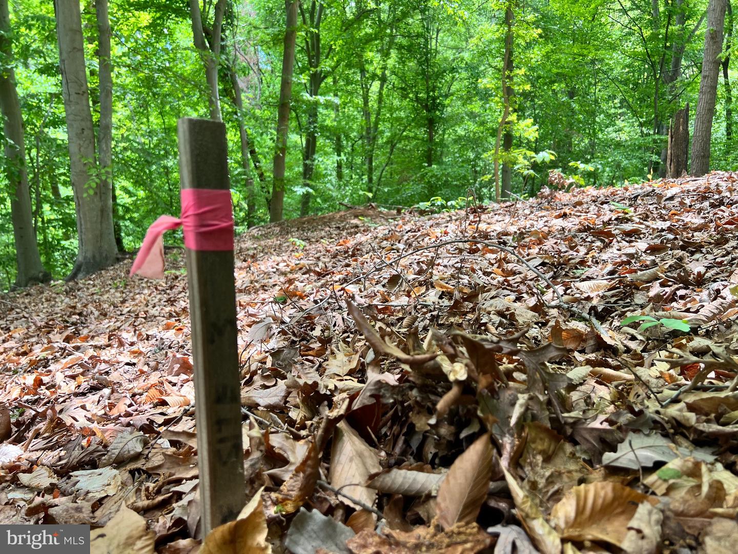 OLD COLCHESTER RD, LORTON, Virginia 22079, ,Land,For Sale,OLD COLCHESTER RD,VAFX2263404 MLS # VAFX2263404 OLD COLCHESTER RD, LORTON, Virginia 22079, ,Land,For Sale,OLD COLCHESTER RD,VAFX2263404 MLS # VAFX2263404