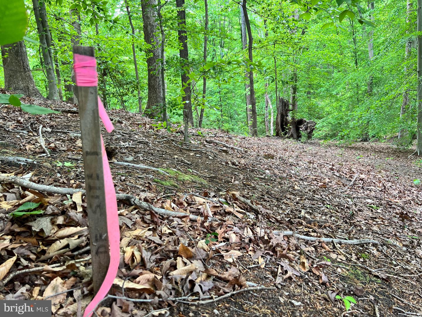OLD COLCHESTER RD, LORTON, Virginia 22079, ,Land,For Sale,OLD COLCHESTER RD,VAFX2263404 MLS # VAFX2263404 OLD COLCHESTER RD, LORTON, Virginia 22079, ,Land,For Sale,OLD COLCHESTER RD,VAFX2263404 MLS # VAFX2263404