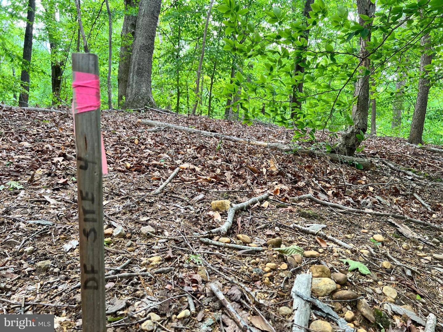 OLD COLCHESTER RD, LORTON, Virginia 22079, ,Land,For Sale,OLD COLCHESTER RD,VAFX2263404 MLS # VAFX2263404 OLD COLCHESTER RD, LORTON, Virginia 22079, ,Land,For Sale,OLD COLCHESTER RD,VAFX2263404 MLS # VAFX2263404