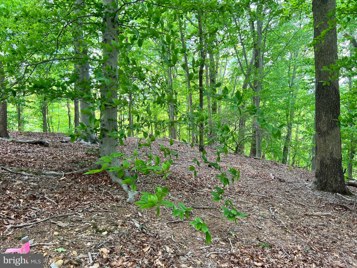 OLD COLCHESTER RD, LORTON, Virginia 22079, ,Land,For Sale,OLD COLCHESTER RD,VAFX2263404 MLS # VAFX2263404 OLD COLCHESTER RD, LORTON, Virginia 22079, ,Land,For Sale,OLD COLCHESTER RD,VAFX2263404 MLS # VAFX2263404